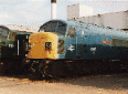 45060